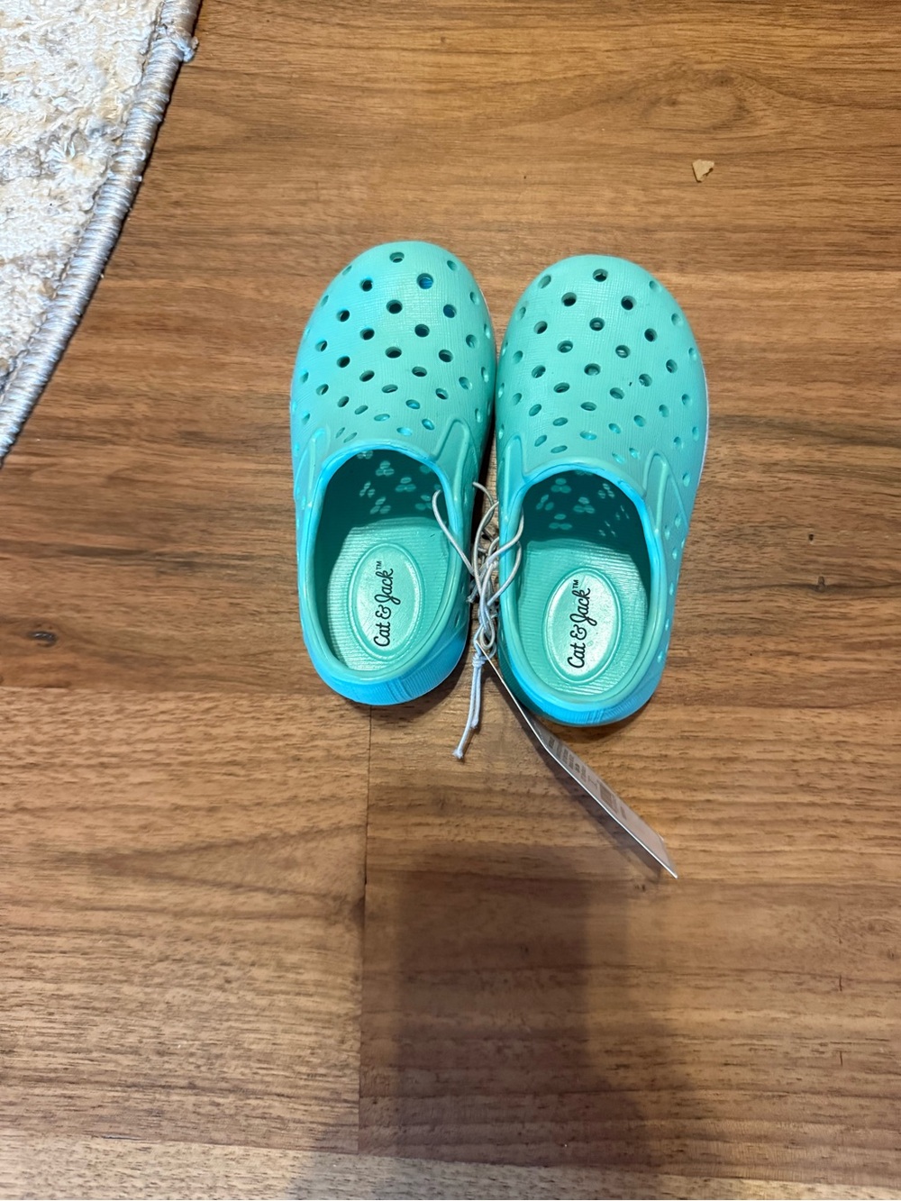 Cat & Jack Kids' mint green Slip-On Clog - Teal